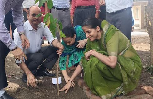 वृहद्ध वृक्षारोपण कार्यक्रम आयोजित किए गए